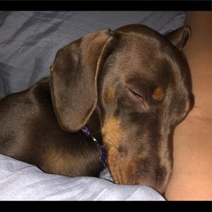 Meet your Posher, Mia